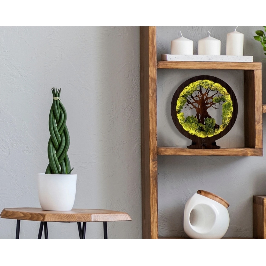 Li-Go 23631/DUB2 - LED ściemnialna dekoracja stołowa LED/12W/230V 30x31 cm dąb/Mech i drzewo