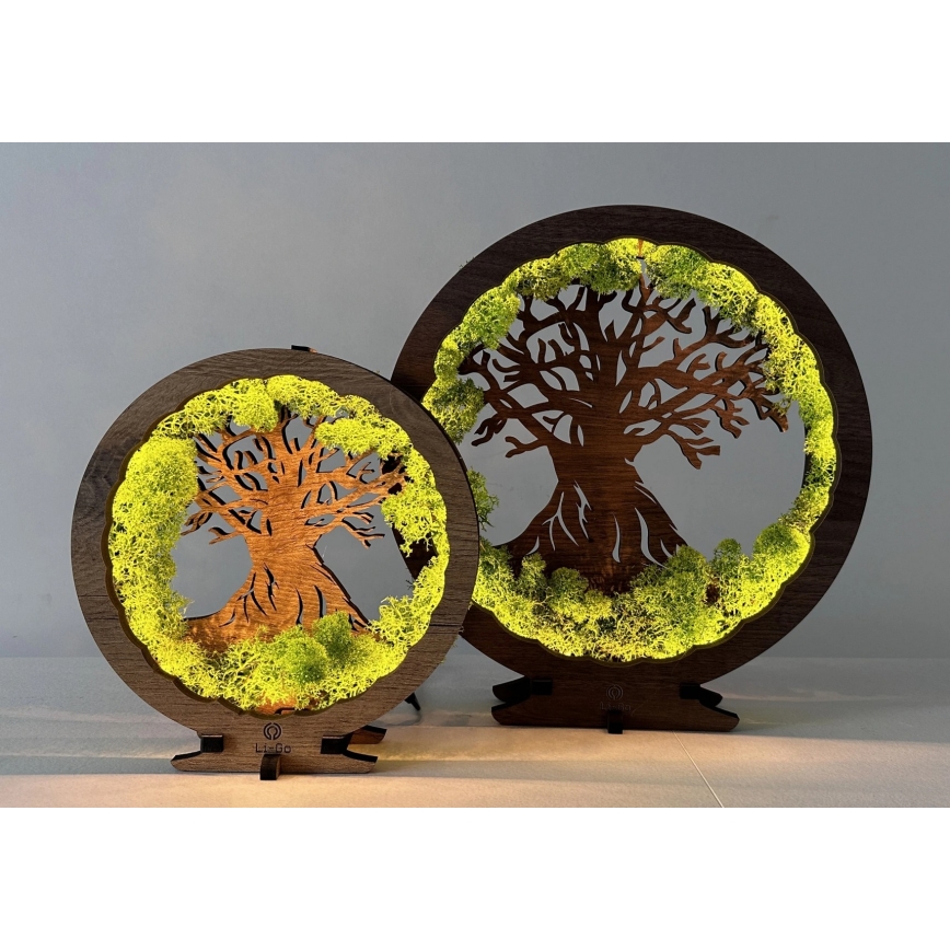 Li-Go 23631/DUB2 - LED ściemnialna dekoracja stołowa LED/12W/230V 30x31 cm dąb/Mech i drzewo