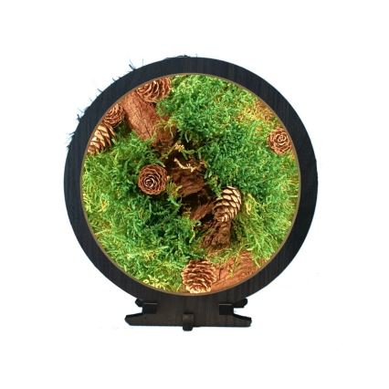 Li-Go 23654 - Dekoracyjna lampa stołowa LED z regulacją jasności LED/12W/230V 20x22 cm orzech/martwa natura z mchem