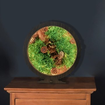 Li-Go 23654 - LED ściemnialna dekoracja stołowa LED/12W/230V 20x22 cm orzech/Mechowa martwa natura