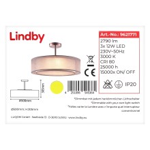 Lindby - LED Ściemnialny żyrandol na drążku PIKKA 3xLED/12W/230V