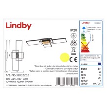 Lindby - LED Ściemnialny żyrandol natynkowy EMILJAN LED/35W/230V