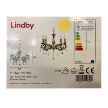 Lindby - Żyrandol na łańcuchu KORA 5xE14/40W/230V