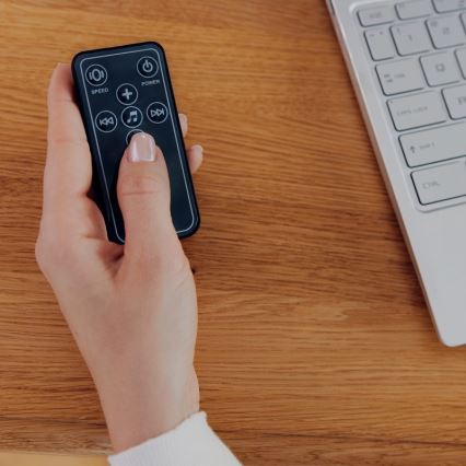 Lionelo - Bujaczek dla dzieci z melodią RIO 4xC Beżowy Latte + zdalne sterowanie