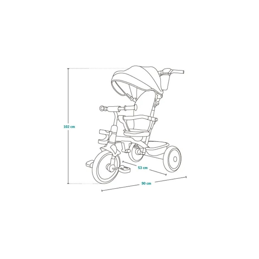 Lionelo - Dziecięcy trójkołowiec BERRY Grey Stone