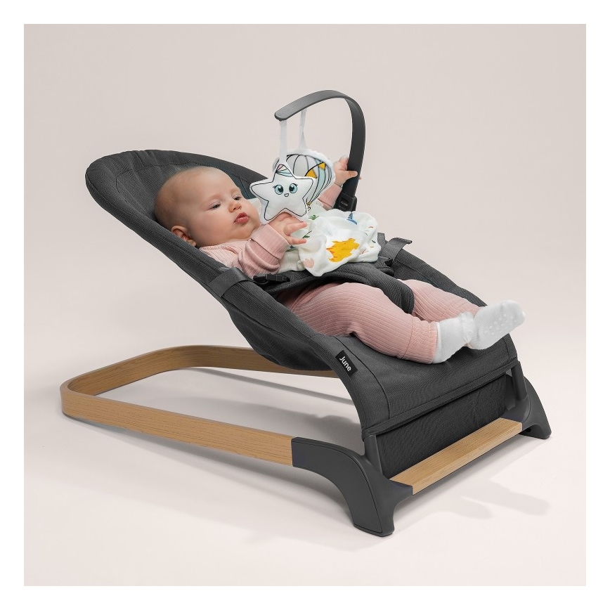 Lionelo - Huśtawka dziecięca JUNE szara