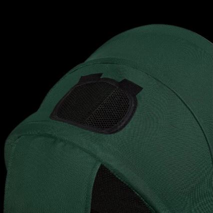 Lionelo - Trójkołowy rowerek dziecięcy HAARI zielony/czarny