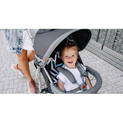 Lionelo - Wózek spacerowy ELIA szary