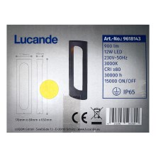 Lucande - LED Lampa zewnętrzna FENTI LED/12W/230V IP65