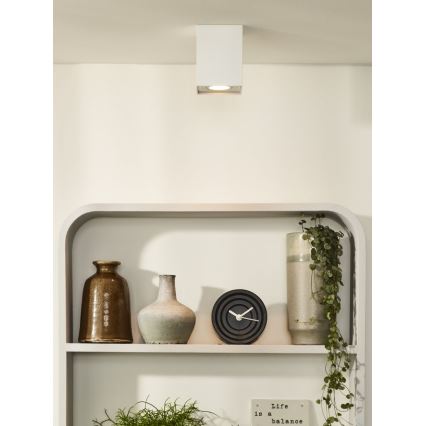 Lucide 22953/01/31 - Oświetlenie punktowe TUBE 1xGU10/42W/230V