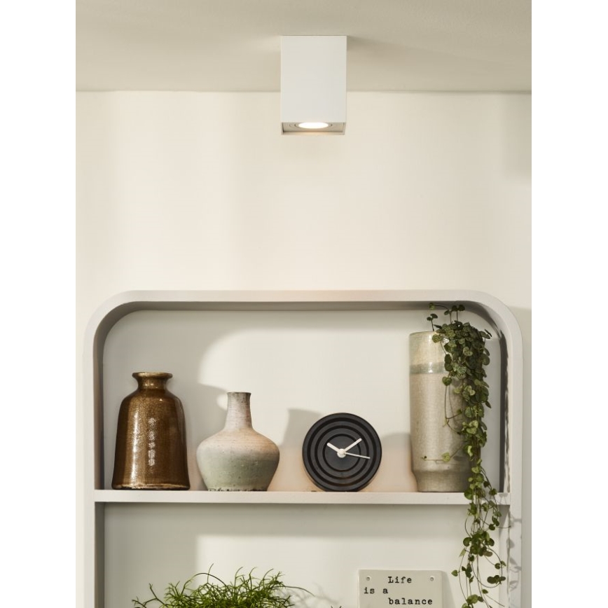 Lucide 22953/01/31 - Oświetlenie punktowe TUBE 1xGU10/42W/230V