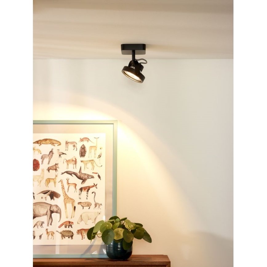 Lucide 31930/12/30 - LED Reflektor punktowy TALA LED 1xG53/12W/230V/12V