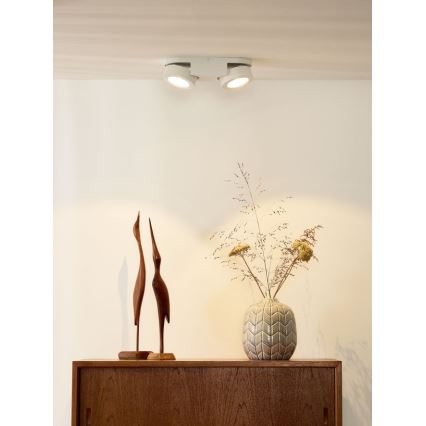 Lucide 33158/10/31 - LED Reflektor punktowy MITRAX 2xLED/5W/230V biała
