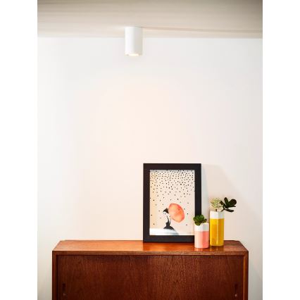 Lucide 35100/11/31 - Lampa sufitowa GIPSY 1xGU10/35W/230V