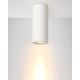 Lucide 35100/17/31 - Lampa sufitowa GIPSY 1xGU10/35W/230V biała