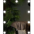 Lustro LED z oświetleniem 9xLED/1W/230V 3000/4000/6000K 50x40 cm IP44