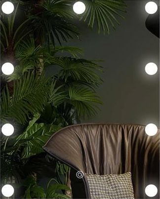 Lustro LED z oświetleniem 9xLED/1W/230V 3000/4000/6000K 50x40 cm IP44