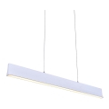 LUXERA 18414 - LED ściemnialny żyrandol na lince OBLO LED/30W/230V