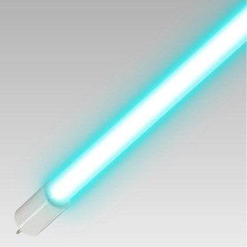 Luxera 70419 - Dezynfekcyjna świetlówka germicydowa T5 UVC/8W/230V