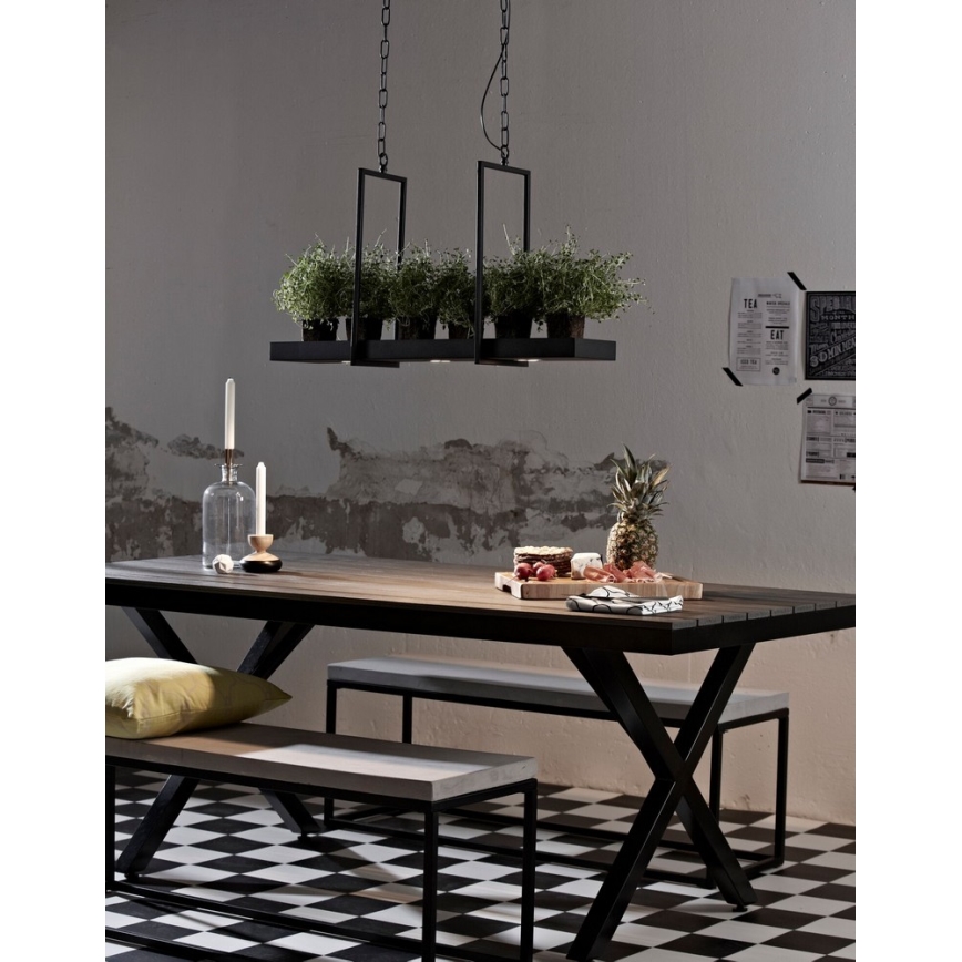 Markslöjd 105780 - ED Żyrandol ściemnialny na łańcuchu TRAY 3xLED/3W/230V czarny