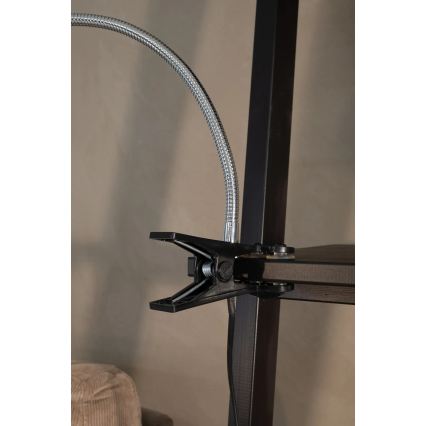 Markslöjd 106092 - LED Lampa stołowa z klipsem TULIP LED/3W/230V czarny