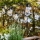Markslöjd 107293 - Zewnętrzny łańcuch dekoracyjny LED GIRLANDA GARDEN 10xLED 5,5m IP44