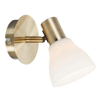Markslöjd 107509 - Kinkiet punktowy VERO 1xE14/40W/230V mosiądz