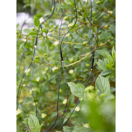 Markslöjd 108178 - LED zewnętrzna kurtyna świąteczna GARDEN24 160xLED/24V 2x2m ciepła biała