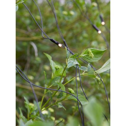 Markslöjd 108178 - LED zewnętrzna kurtyna świąteczna GARDEN24 160xLED/24V 2x2m ciepła biała