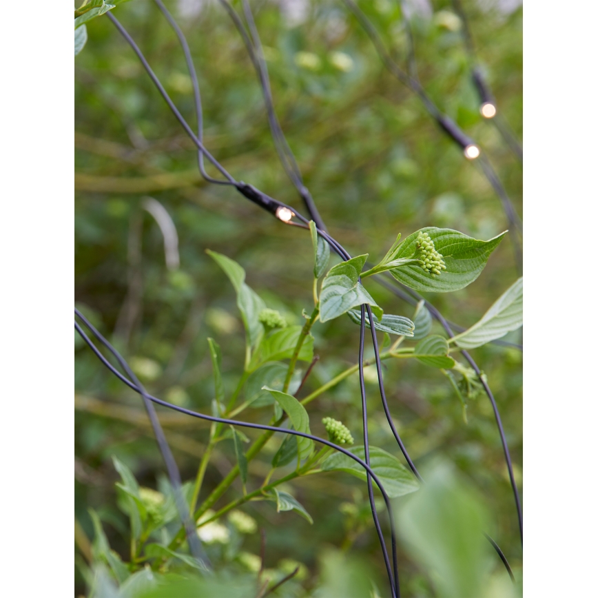Markslöjd 108178 - LED zewnętrzna kurtyna świąteczna GARDEN24 160xLED/24V 2x2m ciepła biała