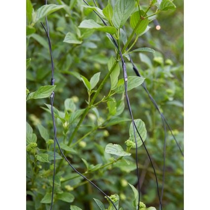 Markslöjd 108178 - LED zewnętrzna kurtyna świąteczna GARDEN24 160xLED/24V 2x2m ciepła biała