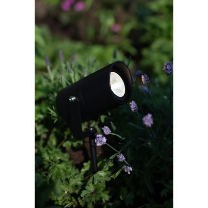 Markslöjd 108484 - Lampa zewnętrzna LED GARDEN24 LED/6W/24V 30 cm IP44 czarna