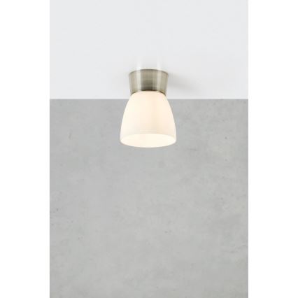 Markslöjd 109026 - Plafon łazienkowy NERJA 1xE27/40W/230V IP44 matowy chrom