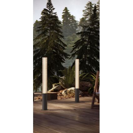 MAXLIGHT F0065 - Lampa zewnętrzna LED GARDENIA LED/25W/230V 105 cm CRI 93 IP65 antracyt