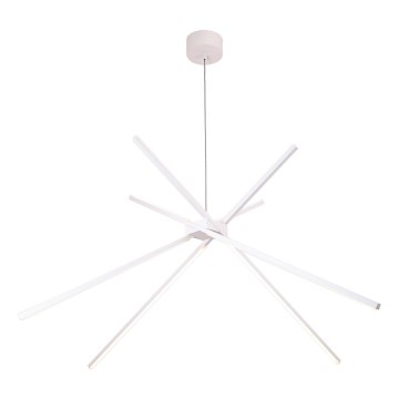 MAXLIGHT P0270 - LED Żyrandol na lince SPIDER LED/33W/230V biały