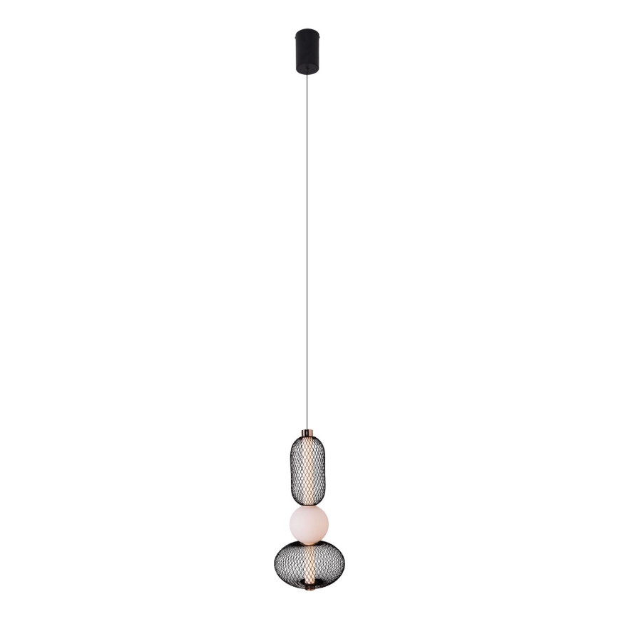 MAXLIGHT P0591 - LED Żyrandol na lince BORA LED/10W/230V śr. 22 cm biały/czarny