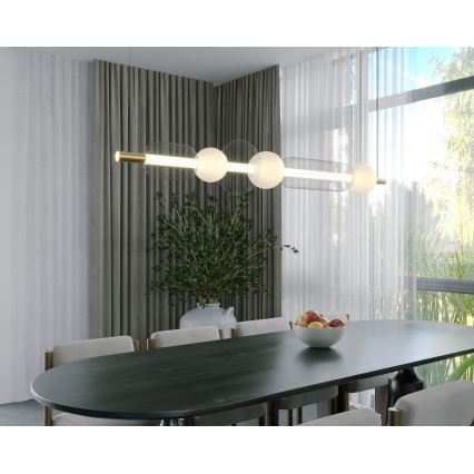 MAXLIGHT P0593 - LED Żyrandol na lince BORA LED/29W/230V biały/czarny