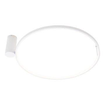 MAXLIGHT W0434 - LED plafon łazienkowy VISUAL LED/22W/230V Ø 60 cm IP44 biały