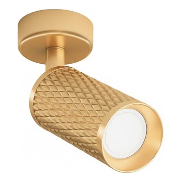 Maytoni C034CL-01G - Oprawa punktowa FOCUS 1xGU10/10W/230V złota