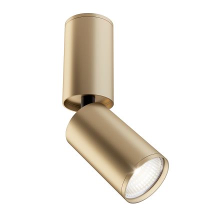 Maytoni C051CL-01G - Oświetlenie punktowe FOCUS 1xGU10/10W/230V złote