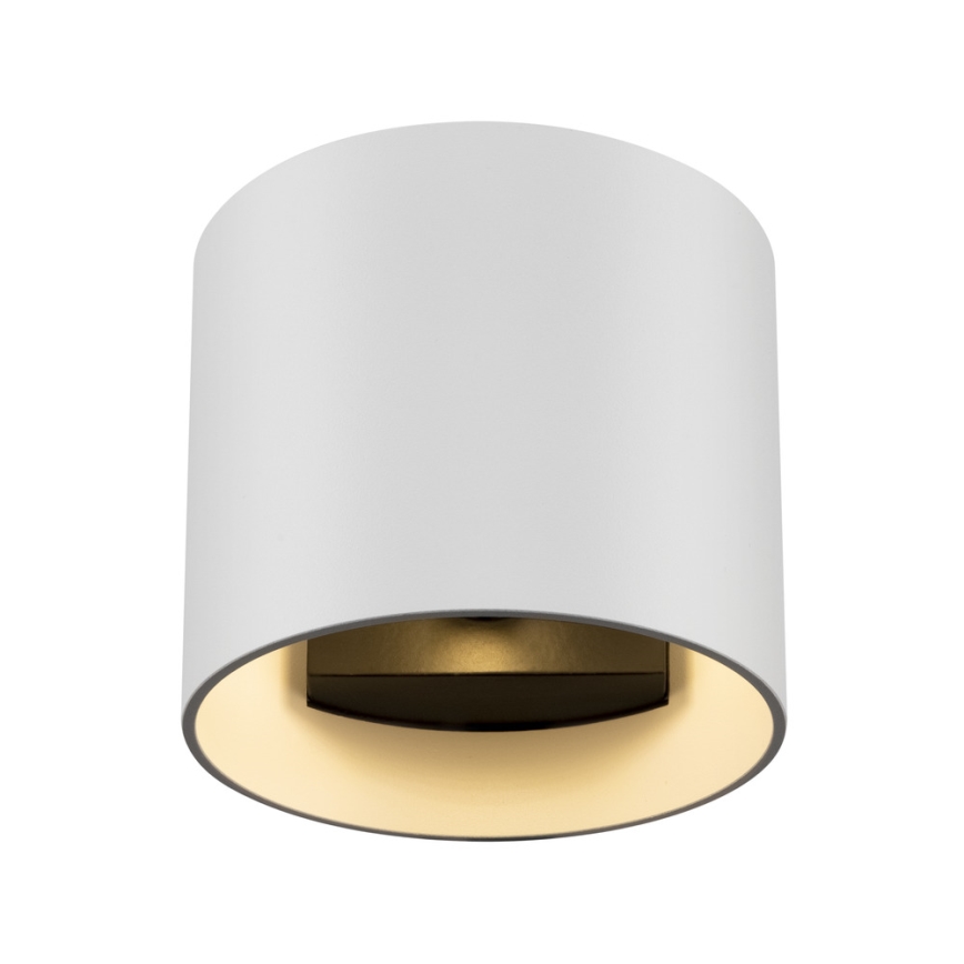 Maytoni C066WL-01W - Kinkiet ROND 1xG9/50W/230V biały