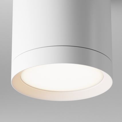 Maytoni C086CM-GX53-MRD-W - Oświetlenie punktowe HOOP 1xGX53/15W/230V białe