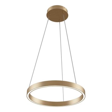 Maytoni MOD058PL-L22BS3K - LED Żyrandol na lince RIM LED/25W/230V 3000K śr. 40 cm złoty