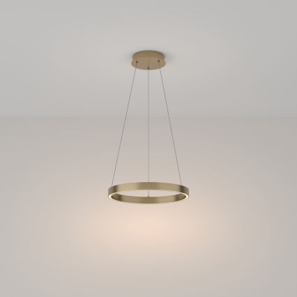 Maytoni MOD058PL-L22BS3K - LED Żyrandol na lince RIM LED/25W/230V 3000K śr. 40 cm złoty