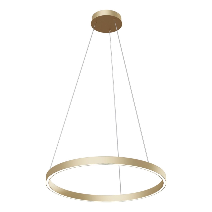 Maytoni MOD058PL-L32BS4K - LED Żyrandol na lince RIM LED/37W/230V 4000K śr. 60 cm złoty