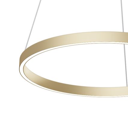 Maytoni MOD058PL-L32BS4K - LED Żyrandol na lince RIM LED/37W/230V 4000K śr. 60 cm złoty