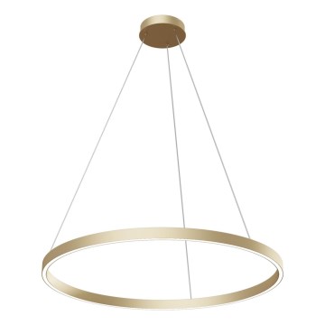 Maytoni MOD058PL-L42BS4K - LED Żyrandol na lince RIM LED/51W/230V 4000K śr. 80 cm złoty
