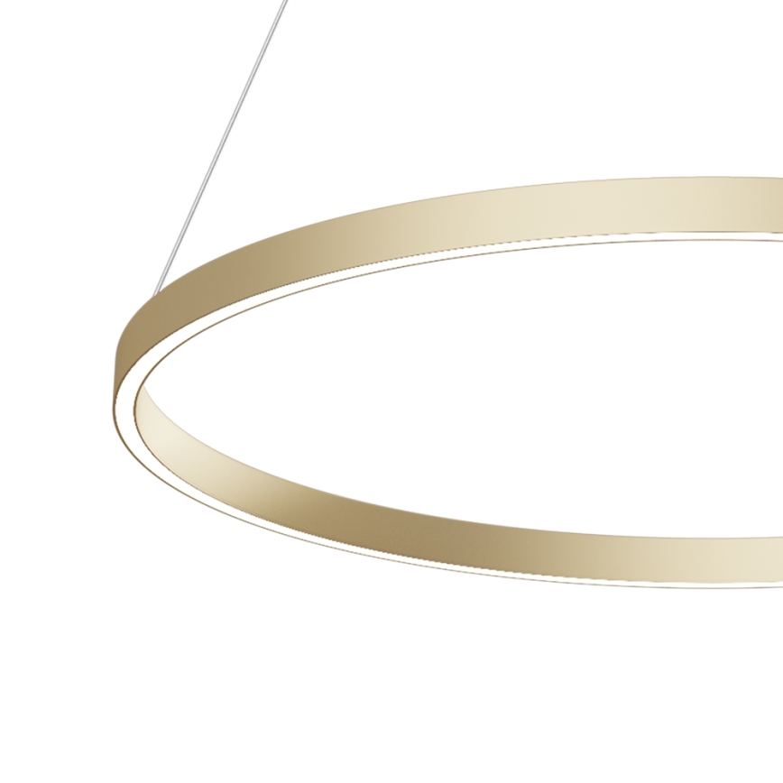 Maytoni MOD058PL-L42BS4K - LED Żyrandol na lince RIM LED/51W/230V 4000K śr. 80 cm złoty