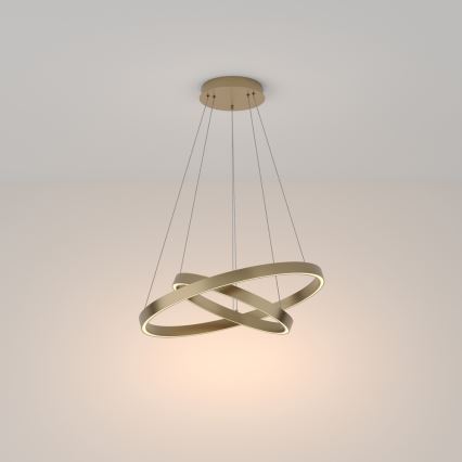Maytoni MOD058PL-L55BS3K - LED Żyrandol na lince RIM LED/61W/230V 3000K śr. 60 cm złoty
