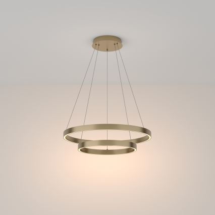 Maytoni MOD058PL-L55BS3K - LED Żyrandol na lince RIM LED/61W/230V 3000K śr. 60 cm złoty